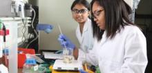 Two students in a Biomedical Engineering lab